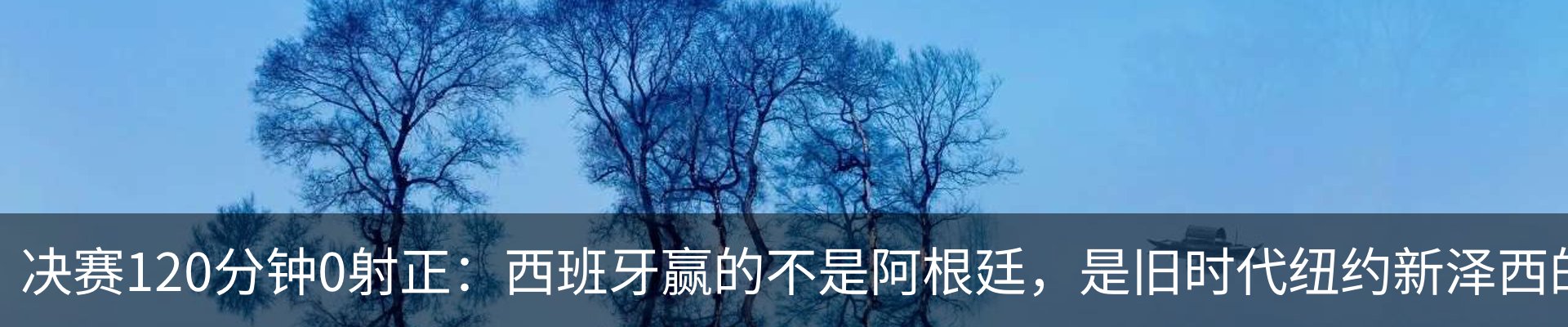 新闻动态