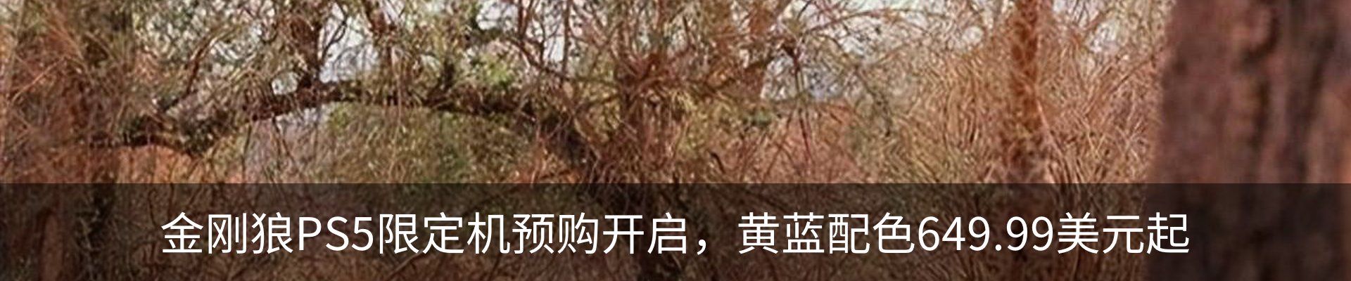 新闻动态